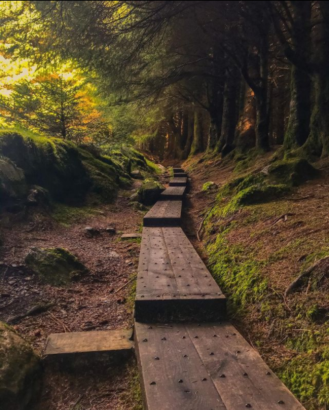 Everything You Should Know About Hiking the Wicklow Way